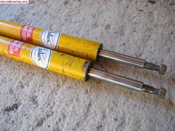 Se venden selex amarillos!!!