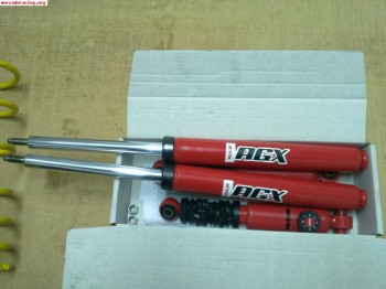 Vendo suspension kayaba agx mas muelles cobra 380€