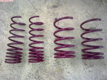 Muelles para fiesta xr2i 