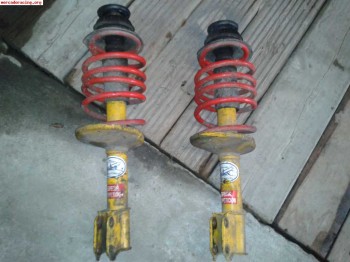 Vendo amortiguadores y muelles para clio williams