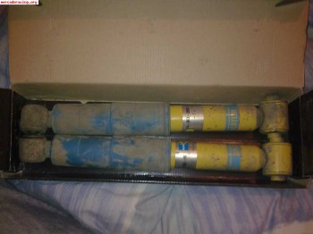 Suspension trasera blistein 206 rc