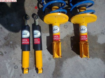 Suspención selex competición para gt turbo