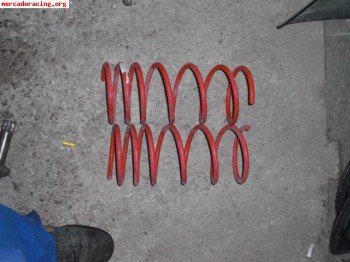 Muelles -3cm  citroen ax  40€