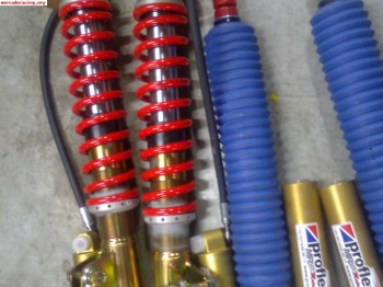 Proflex 3 vias tierra clio sport