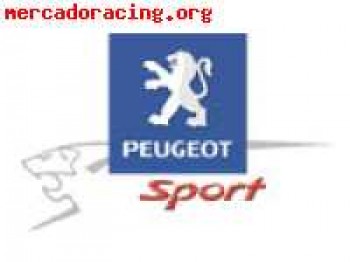 Electronica desafio frances 206xs!!!!!!!!!