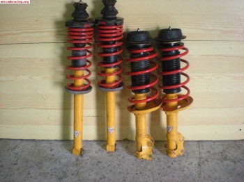 Vendo suspension koni para golf 2 ,golf 3 o seat toledo 