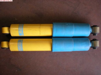 Blistein traseros para clio