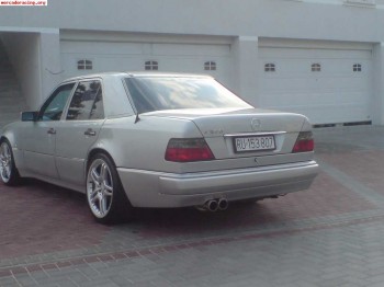 Tulipas mercedes 124 amg