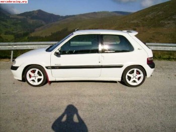 Alerones citroen saxo