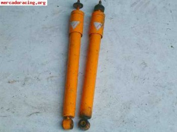 Amortiguadores traseros koni r11