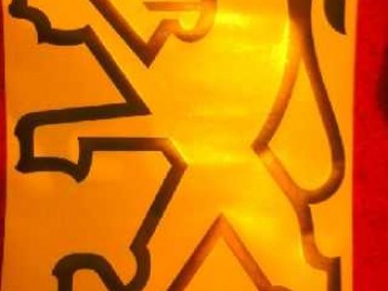 Pegatina logo peugeot para el techo en vinilo de alta calida