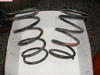 Muelles 205/309 gti