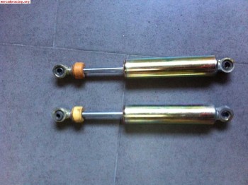 Suspensiones traseras para punto hgt