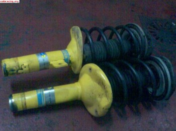 Blistein bastago gordo amarillos xsara..zx..206..306.