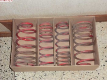 Se vende muelles selex