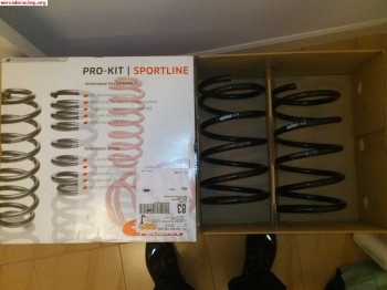 Muelles eibach para 206 rc a estrenar