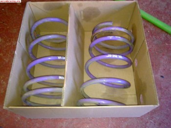 Muelles de suspensio h&r   eibach