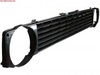 Regillas frontales sin insigna solo asturias recogida person