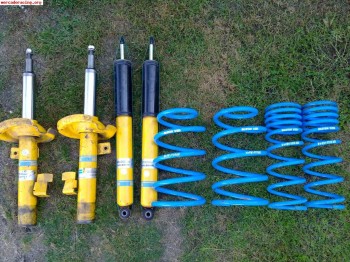 Amortiguacion blistein