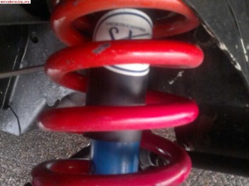 Suspensión seat 124 selex azules