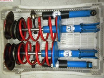 Selex azules para r5 gt turbo