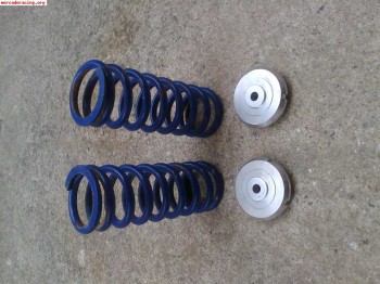 Muelles grupoa para roscado