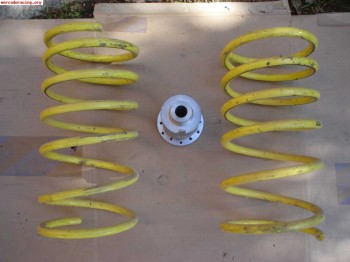 Muelles apex citroen