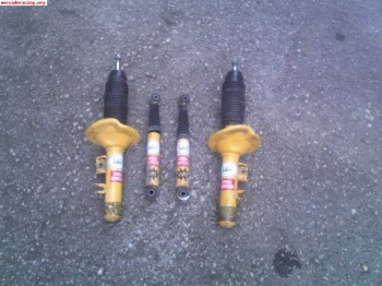 Selex para 205 rallye 100€