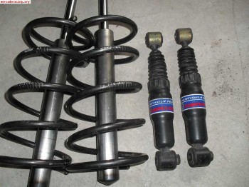Se vende amortiguacion pts routier  con muelles eibach saxo 