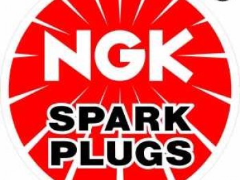 Cables bujias para psa