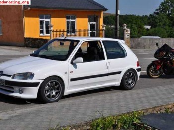 Muelles cobra peugeot-citroen