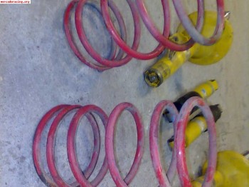 Mueyes 205 309 eibach y cuerpos roscados