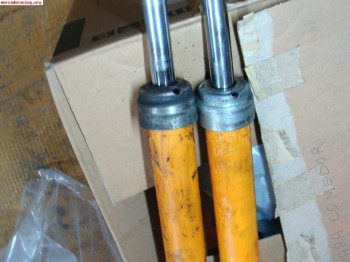 Koni sport delanteros saxo/106