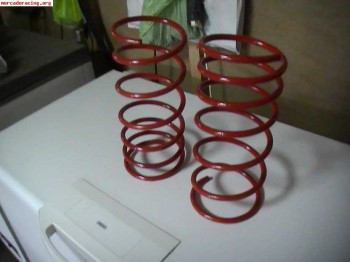 Suspension bilstein/muelles/selex para saxo/106/ax