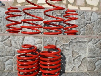 Muelles cortos y separadores-clio sport