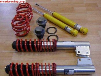 Suspension renault clio sport 172 h&r roscada