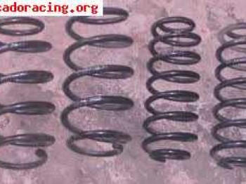 Blistein bastado gordo   eibach ibiza cupra/fr