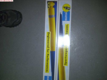 Blistein trasero 206