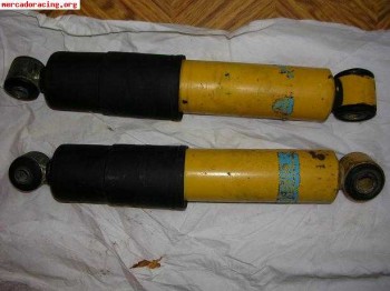 Bilsteins traseros grn