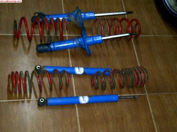 Suspension selex azul para grupo vag 100€