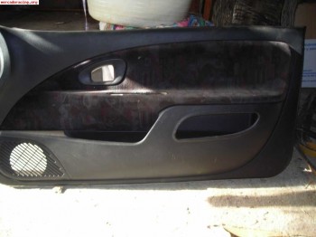 Panel de puerta delantero derecho de saxo vts