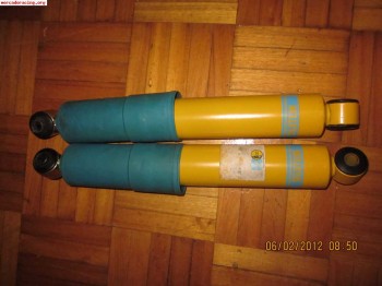 Bilstein grupo n traseros clio 16v - williams