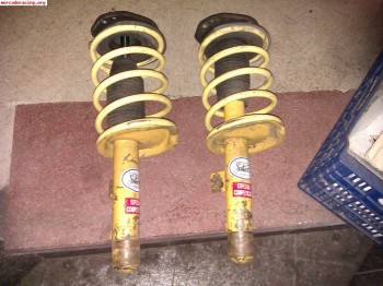 Selex amarillos y apex zx 306 xsara