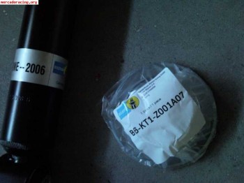 Blistein para r19 16v!!!!!!!!!