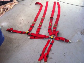 Se venden arneses de 4 y de 6 puntos