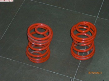 Tecnoshok traseros clio sport 182