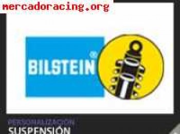 2 amortiguadores traseros blistein