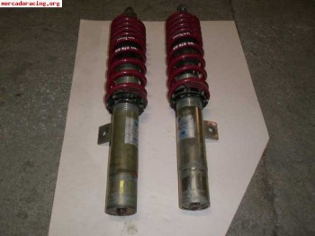 Bilstein vastago gordo con muelles