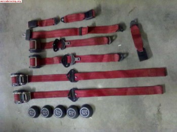 Cinturones 106 rallye