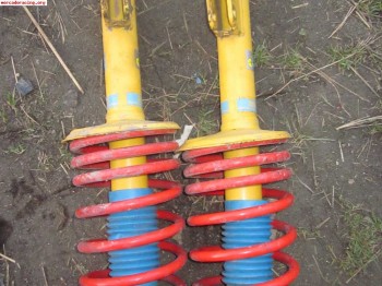 Bilstein bastago gordo de clio 16v.